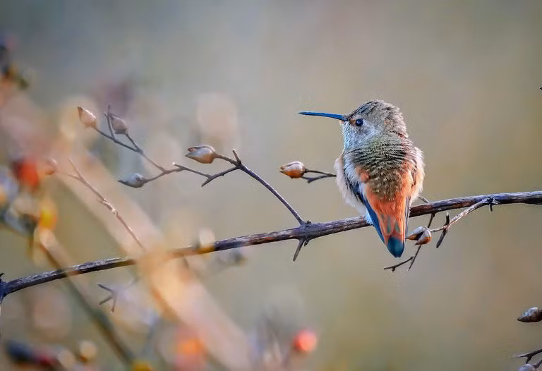 Ai sinh thang Am nay nua doi vat va, tuoi trung nien phuc bao vo tan-Hinh-3