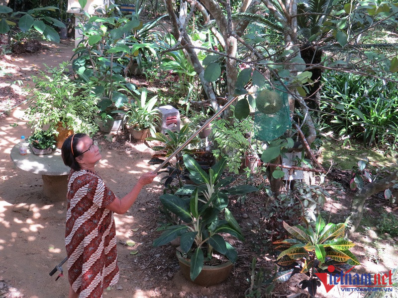 Bán đặc sản tiến vua, ngồi đếm cây thu tiền triệu mỗi ngày - Hình 3 Ban dac san tien vua, ngoi dem cay thu tien trieu moi ngay-Hinh-3