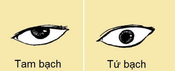 Đặc biệt, trong tính cách những người này hay nghi ngờ, đố kỵ, chỉ cần một điều gì đó lấn cấn là họ có thể suy diễn theo chiều hướng tiêu cực. Chính vì vậy, những người ở bên cạnh người có đôi mắt tứ bạch chẳng bao giờ được vui vẻ bình an. Vì thế, cách tốt nhất bạn nên tránh xa kiểu người này để mọi việc được suôn sẻ an toàn. 