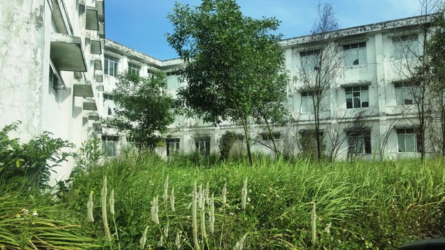 De hoang mot benh vien dau tu tram ty dong