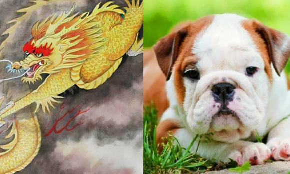 Ba cap con giap rat hop nhau, he lay nhau la giau sang vuot troi-Hinh-3