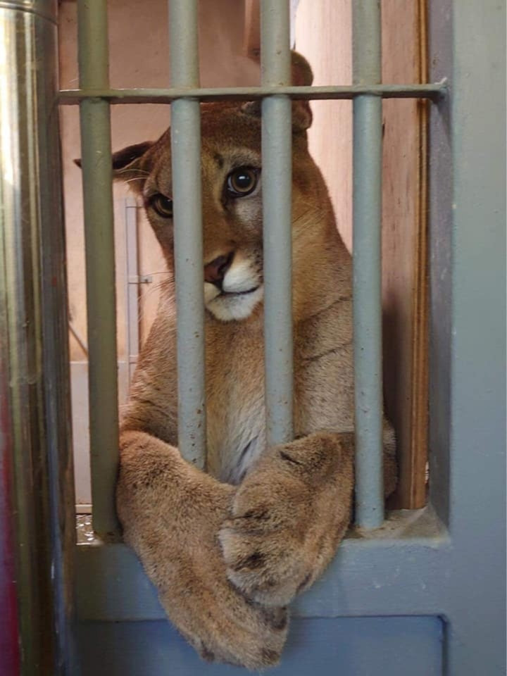 Làm dáng thế này đã đủ đẹp chưa anh nhiếp ảnh?