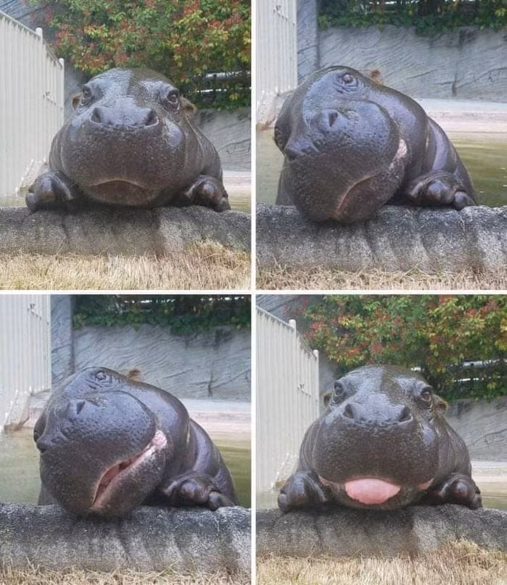 Mạnh mẽ thì em phải diễn, chứ cute thì có thừa.