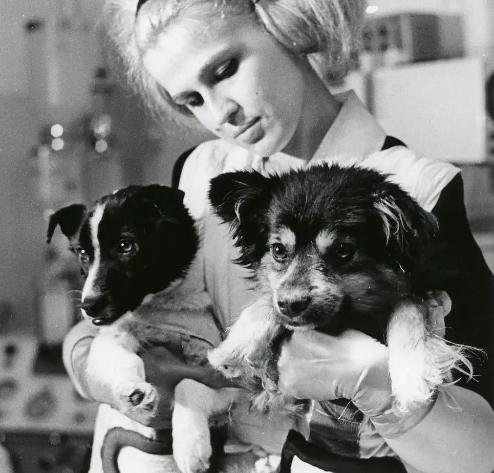 Chuyen ky thu va dang buon nhat ve cac loai dong vat trong khong gian-Hinh-4