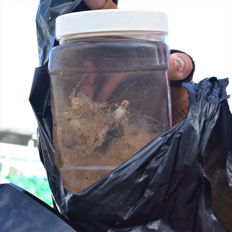 Hàng ngày, ngư dân xuất bến vào khoảng 3-4h sáng và trở về bờ vào khoảng 13-14h cùng ngày.