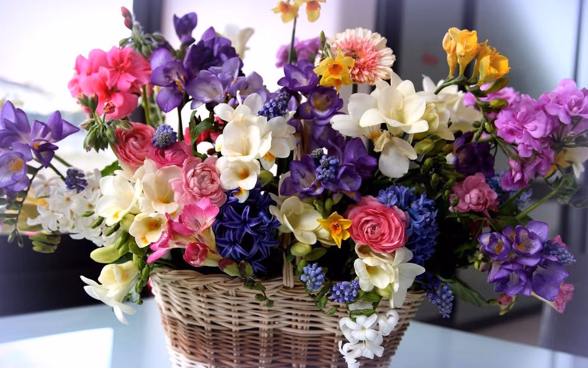 3 con giap dap bang kho khan, hau van am em, hanh phuc-Hinh-3