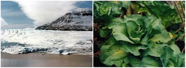 7. Quần đảo Kerguelen. Ẩn mình ở phần phía nam của Ấn Độ Dương rộng lớn, những hòn đảo này nằm rất xa quê hương của chúng là Pháp. Không có máy bay hoặc khách du lịch đến đó, và cách duy nhất để đến đó là đi bằng thuyền từ đảo Réunion, gần Madagascar.