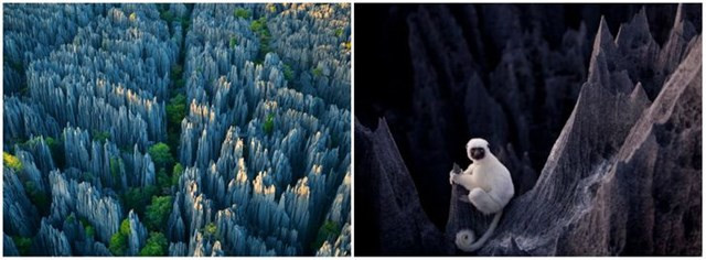 6. Tsingy de Bemaraha, 'rừng đá' của Madagascar. Những mỏm đá và hẻm núi hình thành trong khoảng thời gian một triệu năm, chủ yếu nằm dưới mặt đất dưới dạng những hang động khổng lồ. Trong những năm qua, mưa gió mùa đã cuốn trôi hàng mét đá vôi và các lớp trầm tích đá phấn dày đặc, tạo nên hệ thống các cây cầu, chóp và hẻm núi tự nhiên trông độc đáo và nó có thể sâu tới 120 m.