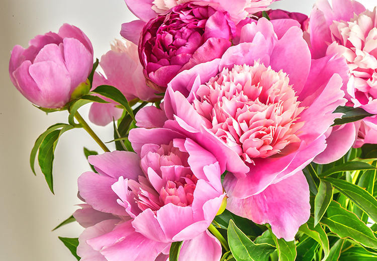 Chiu thuong chiu kho, mua thu nay, 3 con giap ky duoc hop dong to