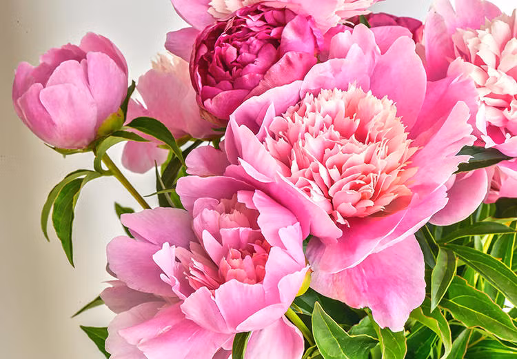 Chiu thuong chiu kho, mua thu nay, 3 con giap ky duoc hop dong to