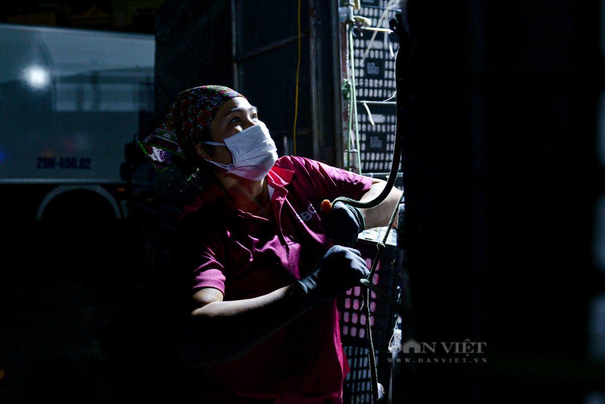 Bà Hoa tâm sự, những ngày khi mới làm nghề bốc vác, chưa quen việc, hôm nào đi làm về tay chân cũng sưng đỏ, đau nhức, ê ẩm khắp người, tưởng như không thể làm nổi. Đã nhiều lần bà muốn bỏ về quê nhưng nghĩ về gia đình còn khó khăn, chỉ nhờ vào vài ba sào ruộng không đủ ăn, nên hễ ai thuê, bà lại bất chấp đi ngay. "Làm nghề bốc vác cực lắm, với cánh nam giới đã cực, huống gì những người phụ nữ chân yếu tay mềm như chúng tôi còn cực hơn gấp nhiều lần", bà Hoa nói thêm.