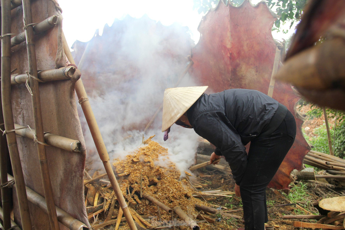 Mùa này mưa nhiều, hiếm khi có mặt trời xuất hiện nên da bò được các cơ sở làm trống hong khô bằng than.