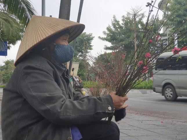 Trên các tuyến phố Hà Nội cũng xuất hiện nhiều người bán đào nhánh.