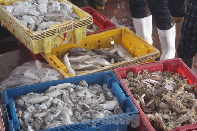 Đa dạng các loại hải sản