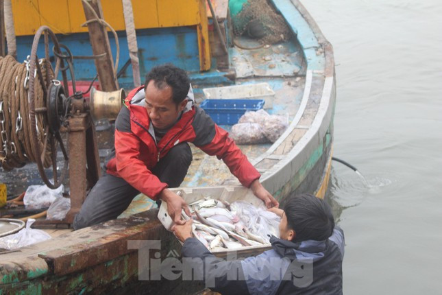 Tất bật chuyển những khay cá đầy ắp lên bờ, chủ tàu Nguyễn Văn Trung (trú xã Diễn Ngọc) lại hối hả chuẩn bị đá lạnh, nhiên liệu để tiếp tục ra khơi. “Tranh thủ thời gian, gia đình ra khơi đánh bắt để tăng thêm thu nhập. Dịch bệnh, giá nhiên liệu tăng cao khiến ngư dân cũng gặp nhiều khó khăn”, anh Trung chia sẻ.