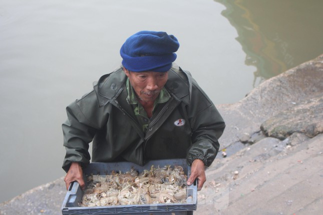 Bội thu ngày đầu năm mới là những tín hiệu tích cực đối với bà con sau những khó khăn do dịch bệnh COVID-19 suốt một năm vừa qua. Bà con ngư dân mong ước sẽ có một năm mới thắng lợi, tàu về đầy ắp tôm cá như những chuyến biển đầu năm này.