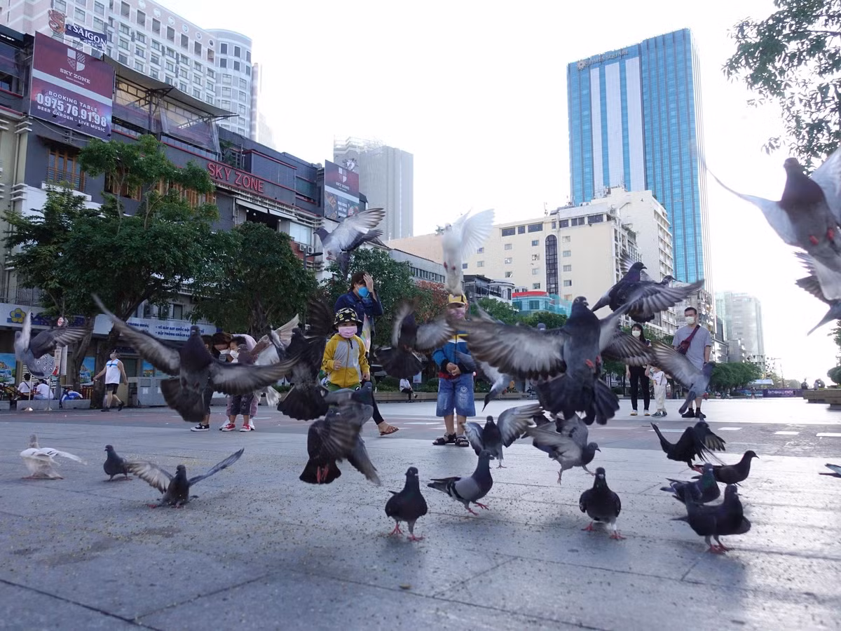 Khung cảnh bình yên trên phố đi bộ Nguyễn Huệ.