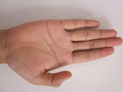 Đường chỉ tay rõ ràng, đậm nét: Đường chỉ tay rất quan trọng, nó thường thể hiện trình độ trí tuệ, công danh, sự nghiệp cũng như số mệnh của một người. Người có chỉ tay rõ nét thường rất thông minh, giỏi dang và thành đạt, giàu có.