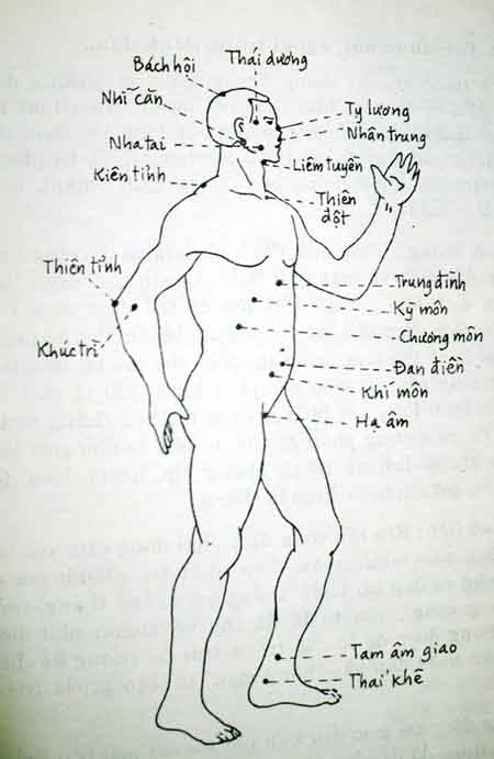 Một số huyệt đạo chính trên cơ thể con người.