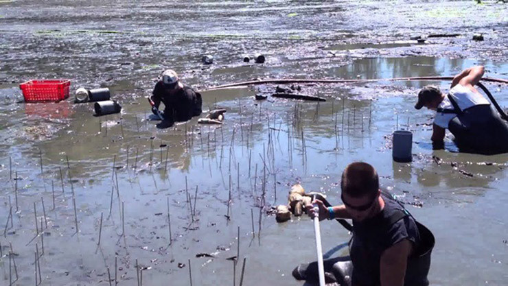 Loai hai san nhin “nguong do mat”, o Viet Nam 650.000/kg duoc vi nhu “than duoc“-Hinh-9