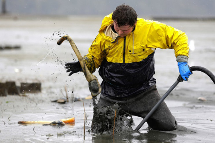 Loai hai san nhin “nguong do mat”, o Viet Nam 650.000/kg duoc vi nhu “than duoc“-Hinh-8