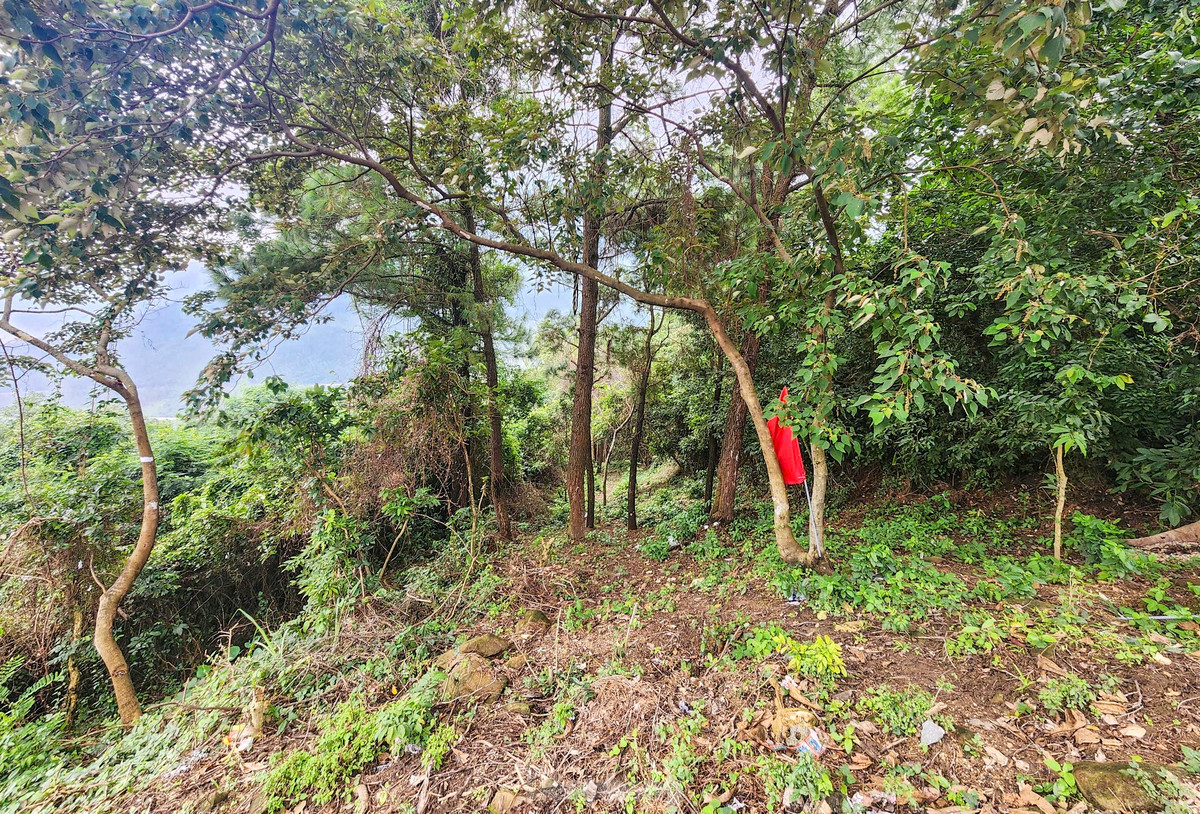 Ở phía Quảng Bình, hồi tháng 10/2024, sau khi phát lộ lối mòn bằng đá nối từ đền Thánh mẫu Liễu Hạnh lên "cổng trời" (Hoành Sơn Quan) tại xã Quảng Đông (huyện Quảng Trạch), tỉnh này đã chỉ đạo phát quang, từng bước khôi phục hiện trạng đường “thiên lý Bắc - Nam”.