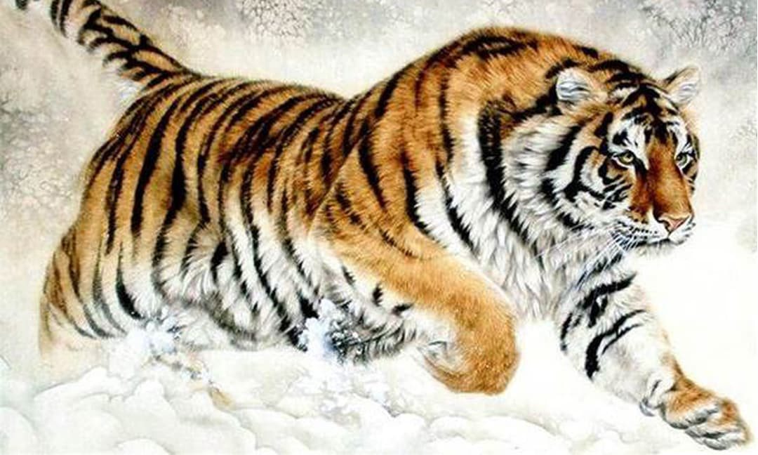 Tuổi Dần: Tuổi Dần mạnh mẽ, quyết đoán và có tố chất lãnh đạo. Trong hai tháng tới, vận thế của họ sẽ bùng nổ. Họ không chỉ là trụ cột gia đình, luôn mang đến yêu thương và sự quan tâm cho người thân mà còn tỏa sáng trong công việc. 