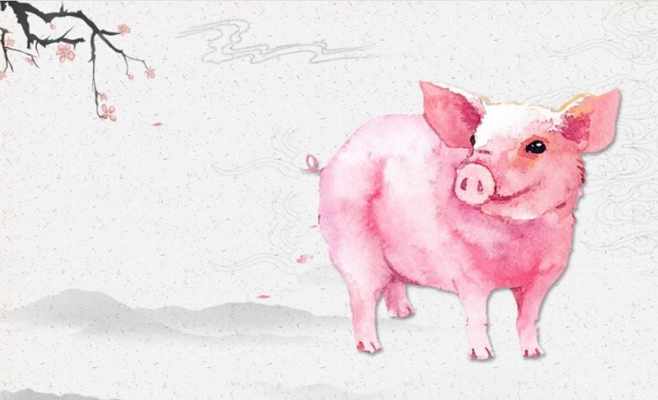  Về mặt tình cảm, tuổi Hợi có người yêu luôn ngọt ngào và ấm áp, khiến người ta phải ghen tị. Những người độc thân có cơ hội gặp được tình yêu đích thực, hãy dũng cảm theo đuổi.