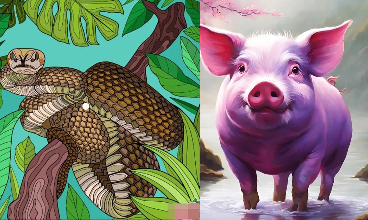  Người tuổi Tỵ lại thông minh, sắc sảo và luôn biết cách xử lý tình huống khéo léo. Đây là sự kết hợp giữa sự khéo léo và tài năng, mang lại cho họ những cơ hội tuyệt vời trong cuộc sống. 