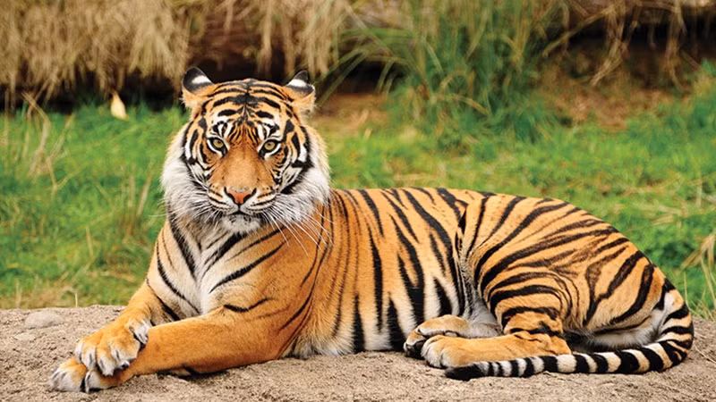  Đồng thời, đây cũng là cơ hội để bạn đưa ra những quyết định mạnh mẽ và táo bạo, những dự án mà trước đây bạn chưa dám thử sẽ nay trở nên thuận lợi hơn để khởi xướng.