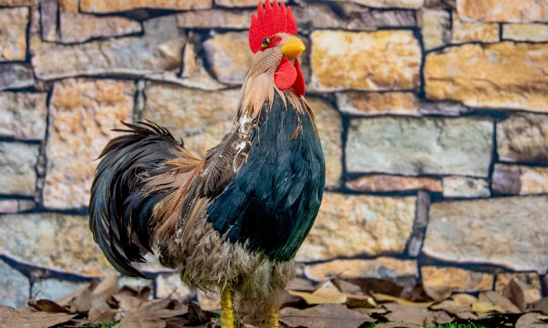  Nếu đang ấp ủ một kế hoạch lớn, đây là thời điểm lý tưởng để triển khai, vì mọi thứ dường như đều diễn ra trôi chảy ngoài sức tưởng tượng. Những ai làm trong lĩnh vực sáng tạo hoặc kinh doanh sẽ nhận được sự đánh giá cao từ đồng nghiệp và cấp trên, mở ra cơ hội thăng tiến rõ rệt. 