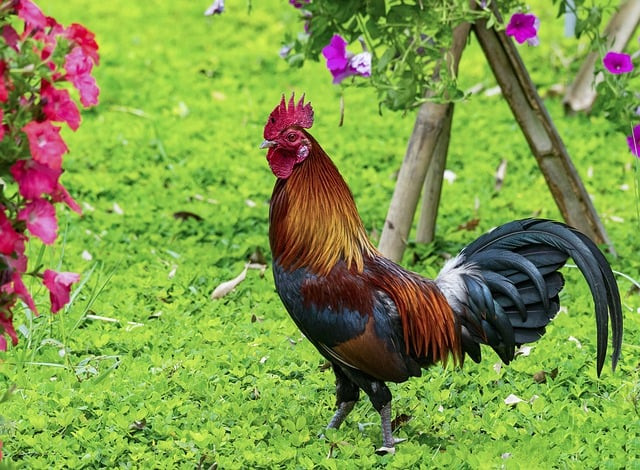 Điều này không chỉ ảnh hưởng đến các quyết định tài chính mà còn khiến họ dễ chạy trốn áp lực bằng cách chọn sai hướng đi trong công việc. Tâm trạng bất ổn cũng dễ làm nảy sinh hiểu lầm với đồng nghiệp hoặc cấp trên, gây mất cơ hội thăng tiến.