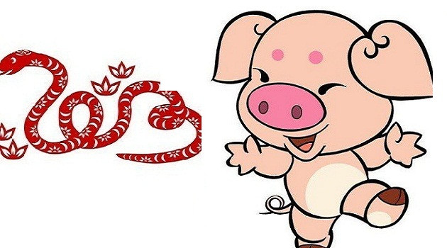 Tỵ - Hợi. Tỵ và Hợi được coi là 1 trong những sự kết hợp xấu nhất của vòng tử vi, hầu như không có sự tương hợp giữa 2 tuổi này.