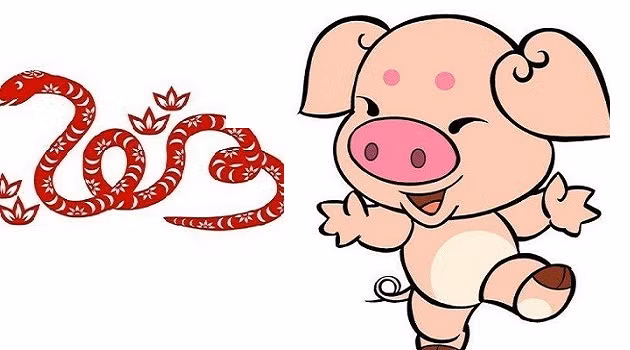 Tỵ - Hợi. Tỵ và Hợi được coi là 1 trong những sự kết hợp xấu nhất của vòng tử vi, hầu như không có sự tương hợp giữa 2 tuổi này.