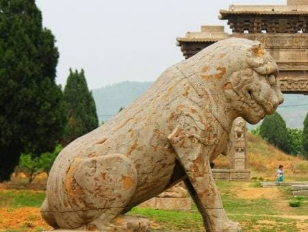 Khong phai ho, vi sao nguoi Trung Quoc dat su tu da truoc cong nha?-Hinh-7