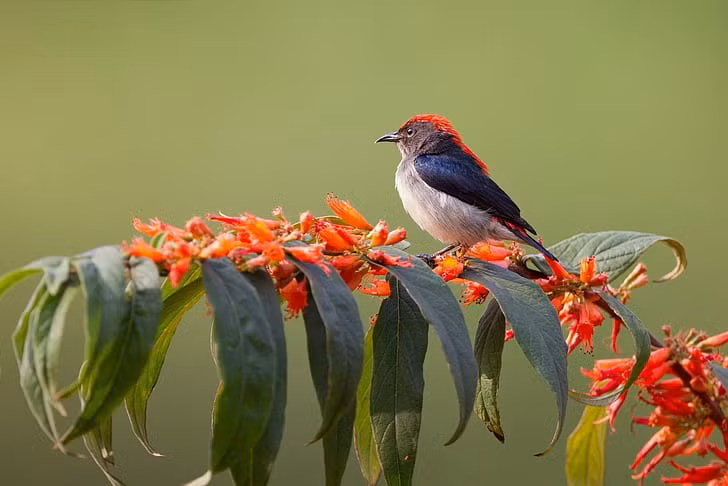 Nguoi sinh thang Am lich nay, y chi kien cuong, chi tien khong lui-Hinh-2