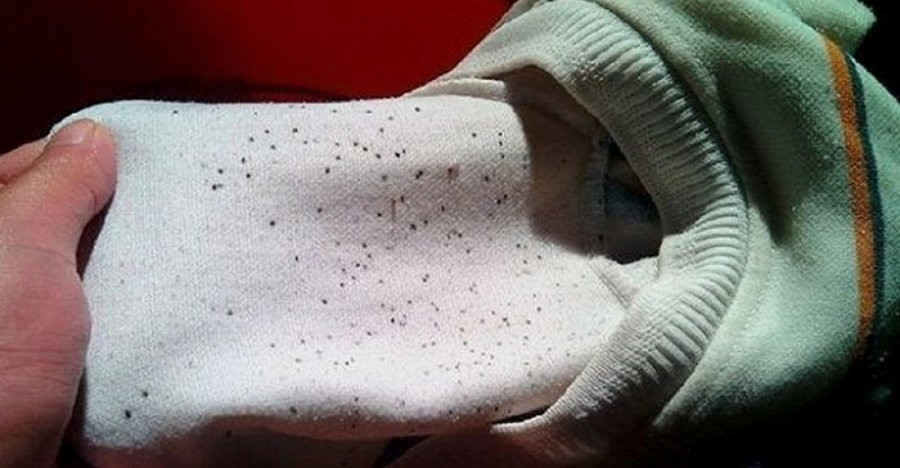 Quần áo bị mốc li ti đem ngâm với thứ nước này là sạch Quan ao bi moc li ti dem ngam voi thu nuoc nay la sach