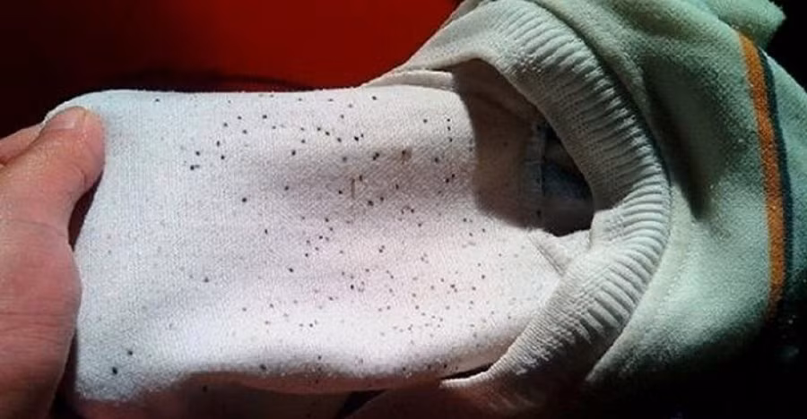 Quần áo bị mốc li ti đem ngâm với thứ nước này là sạch Quan ao bi moc li ti dem ngam voi thu nuoc nay la sach