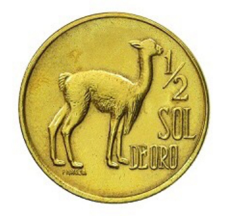 Chính phủ đã khuyến khích những hộ gia đình nghèo có thể cải thiện đời sống từ việc nuôi lạc đà Vicuña.