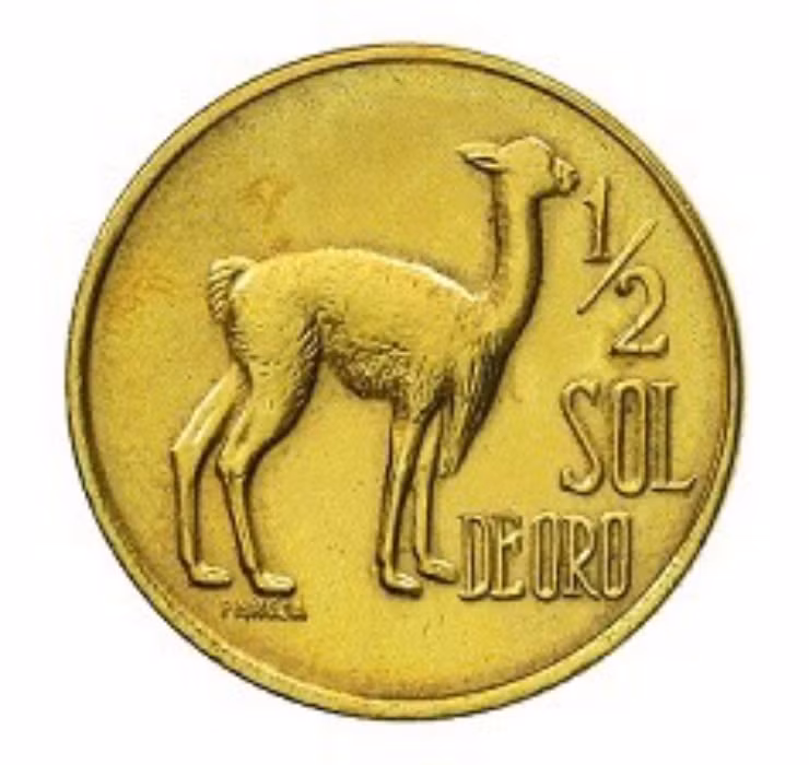 Chính phủ đã khuyến khích những hộ gia đình nghèo có thể cải thiện đời sống từ việc nuôi lạc đà Vicuña.