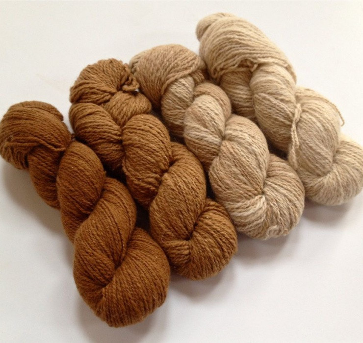 Trước đây, lông lạc đà Vicuña được mệnh danh là “sợi tơ của Chúa” hay “lông cừu vàng”. Chỉ có tầng lớp quý tộc Inca mới được sở hữu những chiếc áo khoác làm từ lông của chúng.