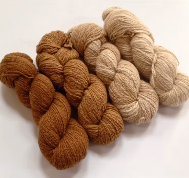 Trước đây, lông lạc đà Vicuña được mệnh danh là “sợi tơ của Chúa” hay “lông cừu vàng”. Chỉ có tầng lớp quý tộc Inca mới được sở hữu những chiếc áo khoác làm từ lông của chúng.