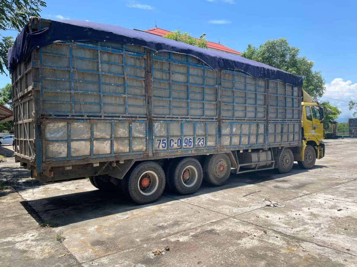 Xac minh thong tin nghi CSGT danh gay xuong suon tai xe