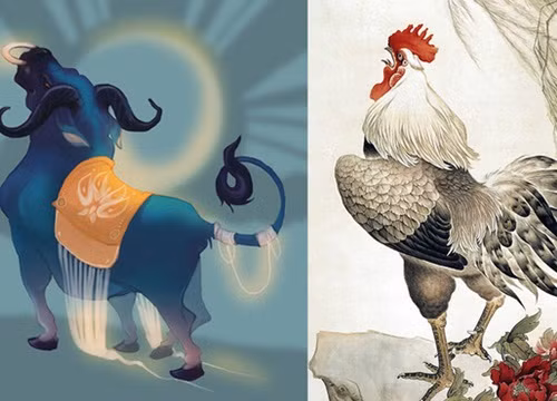 Bước sang năm Nhâm Dần cặp đôi này có những bước chuyển biến tốt, nhưng sang năm Quý Mão vận may còn bùng nổ mạnh mẽn hơn, khiến cho cả hai cực kỳ hạnh phúc. 