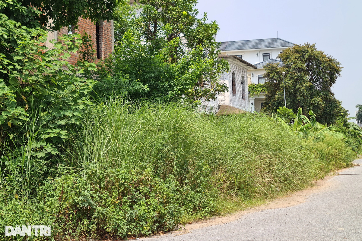 Thường ngày chứng kiến cảnh lãng phí, ông Hoàng Thế Hiệp - một người dân xã An Khánh (Hoài Đức) - chia sẻ: "Mỗi lần đi qua đây tôi đều thấy xót xa bởi cảnh hàng loạt căn biệt thự được xây dựng nhưng không có người ở, vô cùng lãng phí".