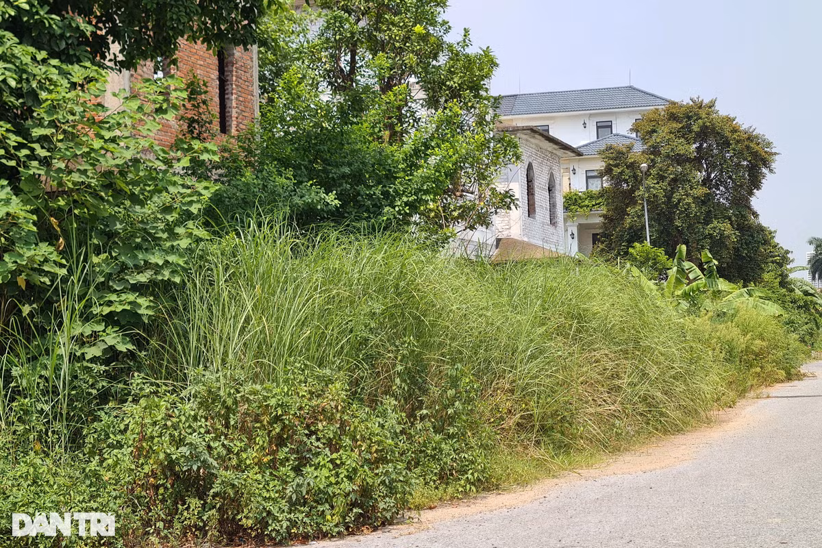 Thường ngày chứng kiến cảnh lãng phí, ông Hoàng Thế Hiệp - một người dân xã An Khánh (Hoài Đức) - chia sẻ: "Mỗi lần đi qua đây tôi đều thấy xót xa bởi cảnh hàng loạt căn biệt thự được xây dựng nhưng không có người ở, vô cùng lãng phí".