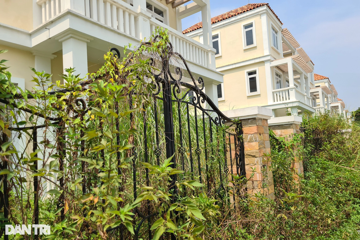 Bên cạnh sự yếu kém về hạ tầng, các dịch vụ tiện ích xung quanh các dãy biệt thự bỏ hoang này gần như không có. Ngoài ra, nhiều căn biệt thự đã hoàn thiện nằm ở mặt đường lớn khu đô thị cũng không có khách thuê kinh doanh.