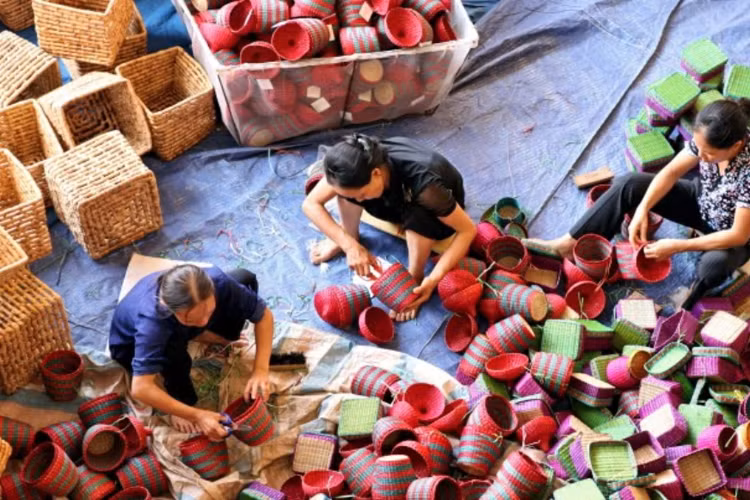 Cói là một sản phẩm nông nghiệp truyền thống của huyện Kim Sơn. Nghề làm cói mỹ nghệ của huyện nổi tiếng toàn quốc, với hơn 20 làng nghề hình thành từ lâu đời. Ảnh: Báo Công Thương.