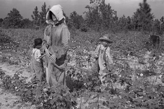 Trong cuộc Đại suy thoái những năm 1930, hình ảnh những em bé làm việc trên cánh đồng không phải hiếm gặp ở Mỹ. Ảnh: Arthur Rothstein.