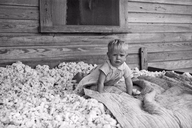 Em bé ngồi chơi trên đống bông mới thu hoạch ở khu tái định cư tại Irwinville, bang Georgia, 1935. Ảnh: Arthur Rothstein.